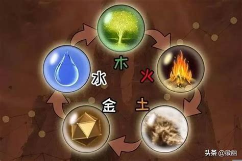 五行 金火|「万物类象」金、水、木、火、土五行取象